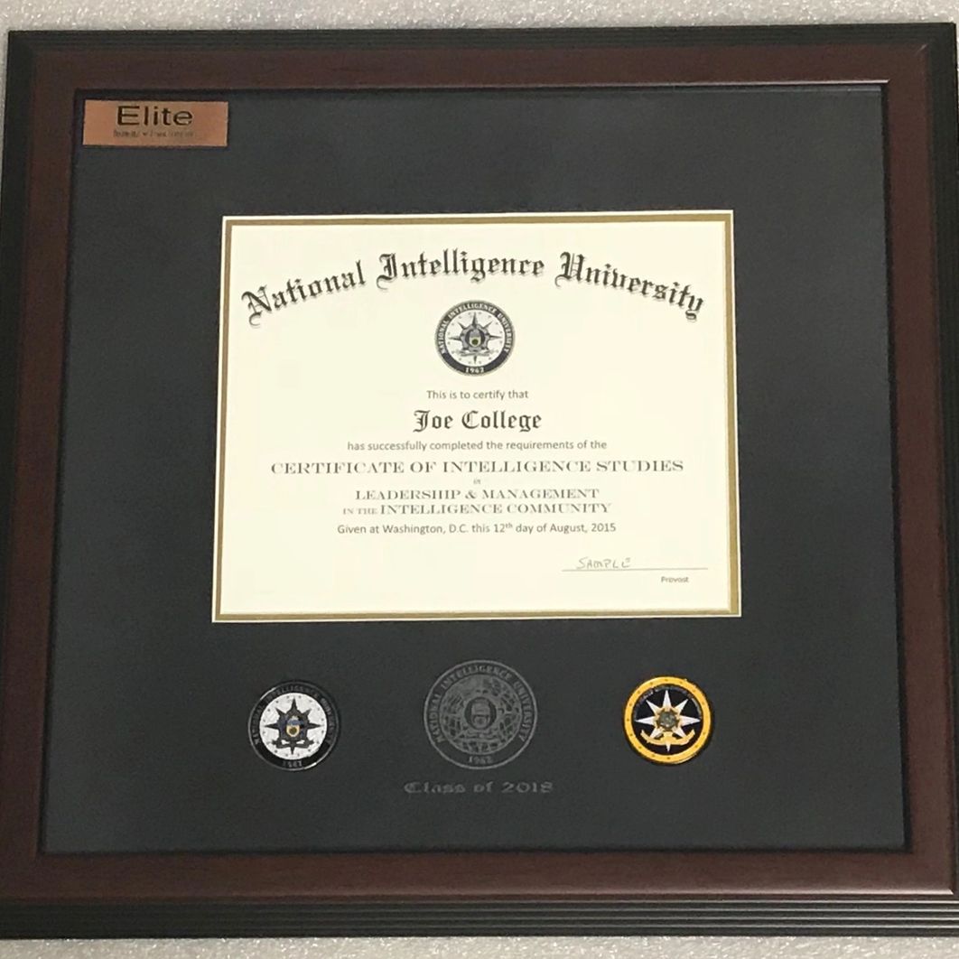 (NIU) ELITE DIPLOMA FRAME Flag Case USA